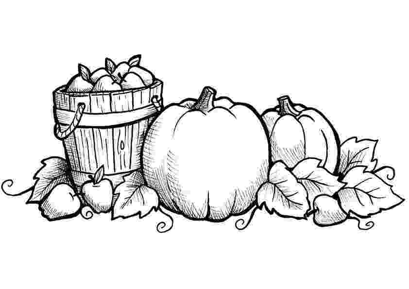 fall color page fall coloring pages to download and print for free page fall color 