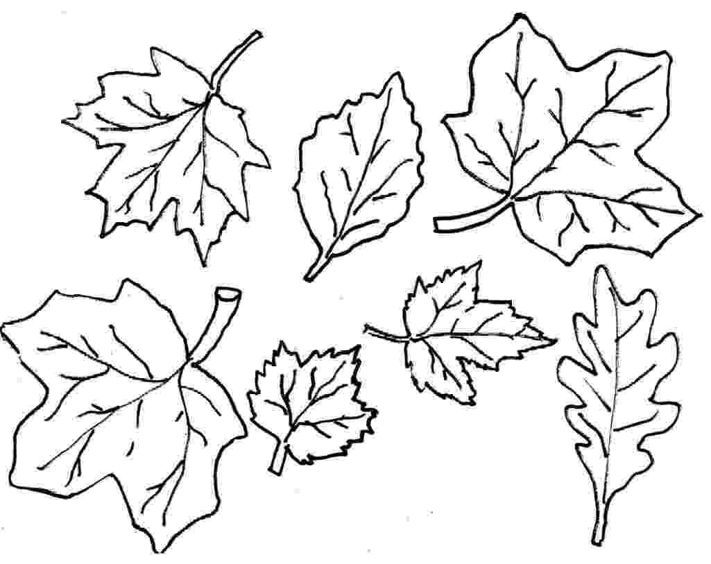 fall coloring free printable fall coloring pages for kids best fall coloring 1 1