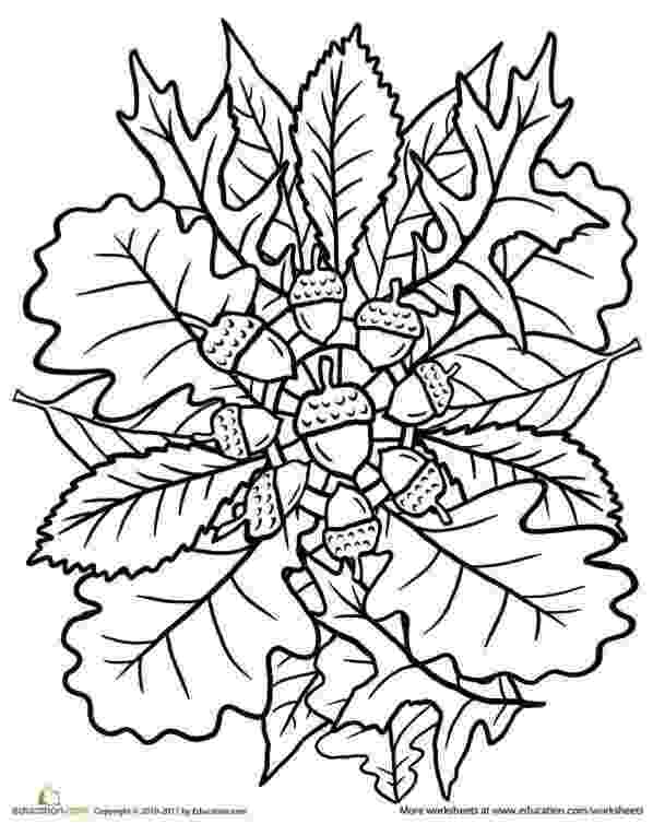 fall coloring my cup overflows fall coloring pages fall coloring 