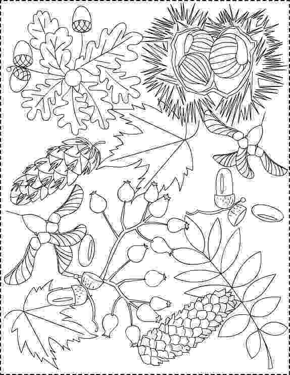 fall coloring printable fall coloring pages imom coloring fall 