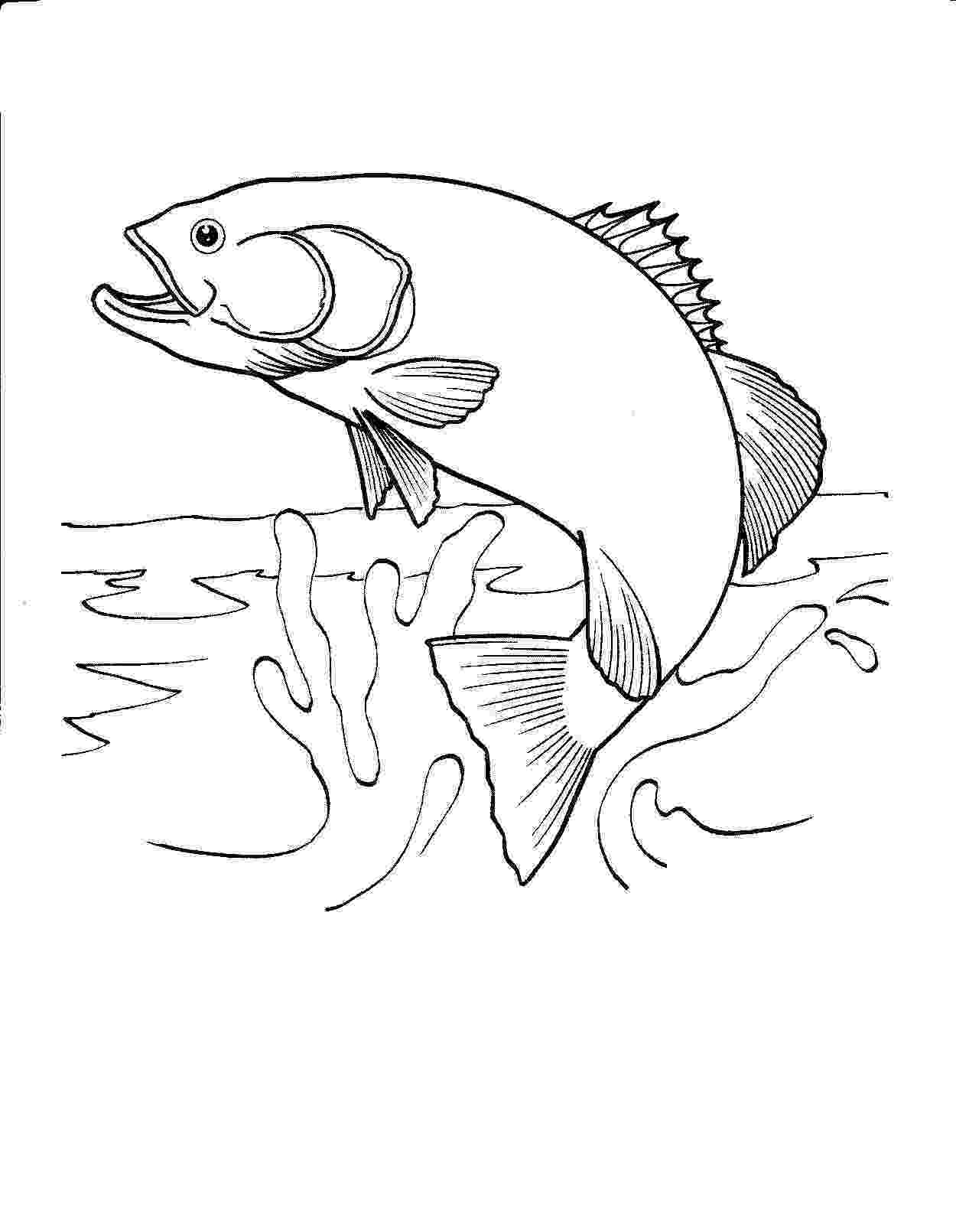 fish coloring pages for adults fish coloring pages to print for adults printable coloring adults pages fish for 