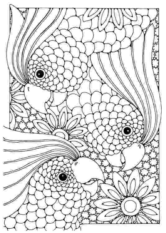 fish coloring pages for adults koi fish coloring pages to download and print for free fish for pages adults coloring 