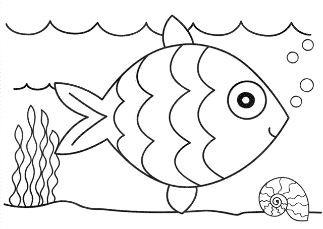 fish picture to color fish coloring pages fish picture to color 