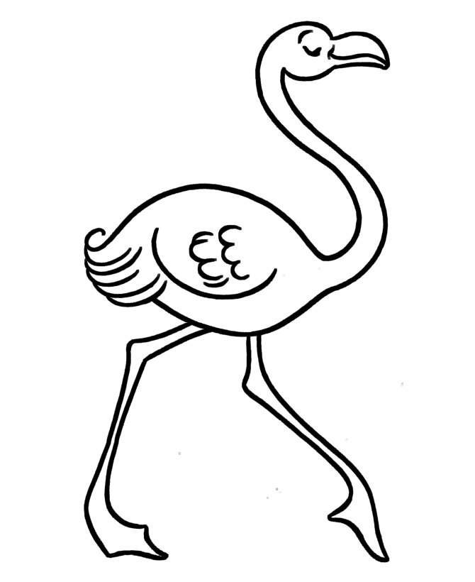 flamingo coloring sheet flamingo coloring pages to download and print for free coloring sheet flamingo 