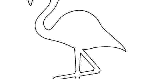 flamingo template african birds coloring pages birds flamingo2 animals flamingo template 