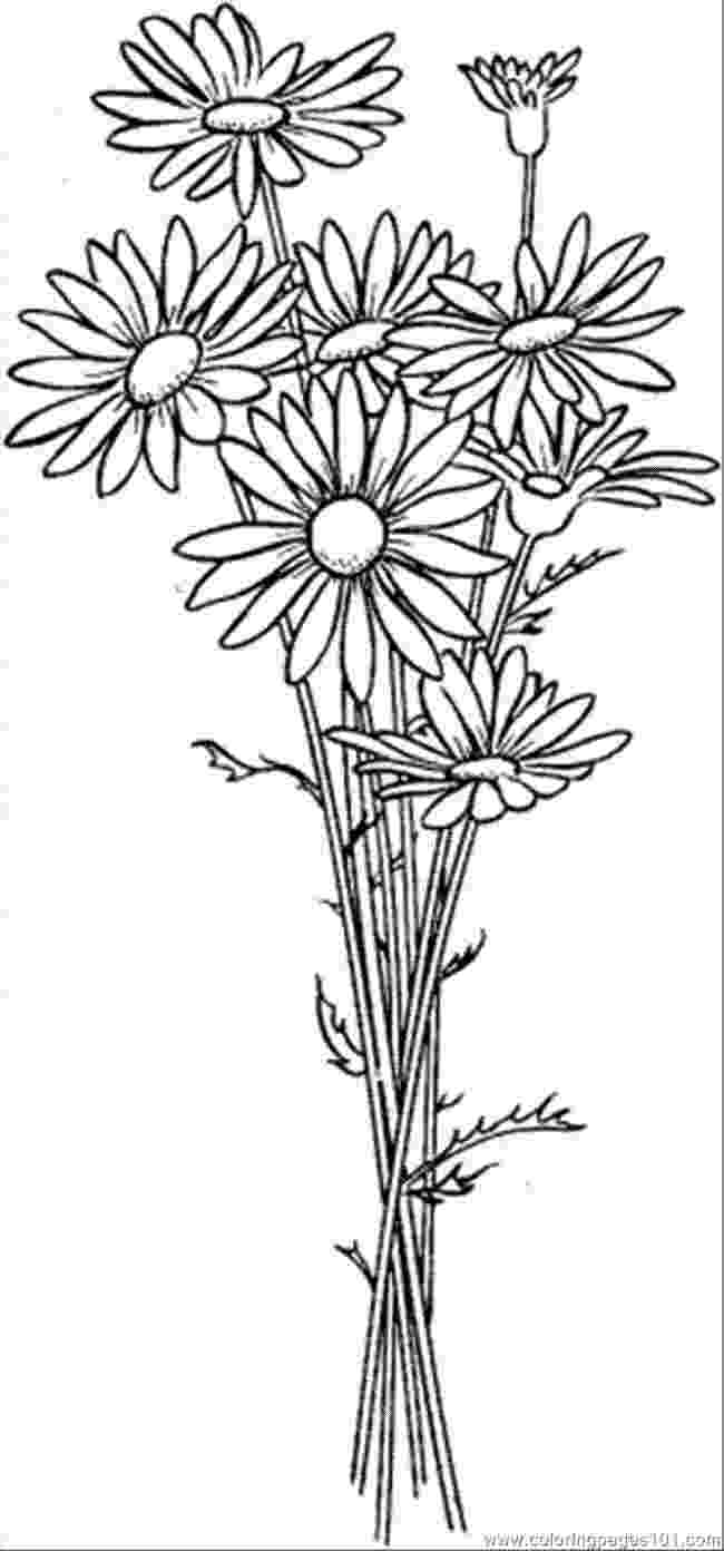 flower coloring experiment daisy flower coloring pages free printable coloring page experiment coloring flower 
