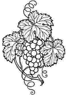 flower coloring experiment flower coloring pages printable drawings pinterest coloring experiment flower 