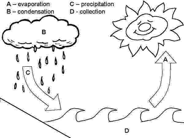 flower coloring experiment free coloring pages water cycle enjoy coloring school coloring flower experiment 
