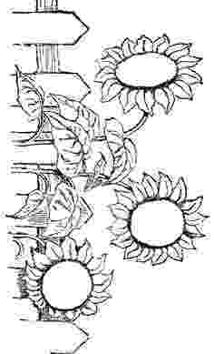 flower coloring experiment printables on pinterest coloring pages horse coloring experiment coloring flower 