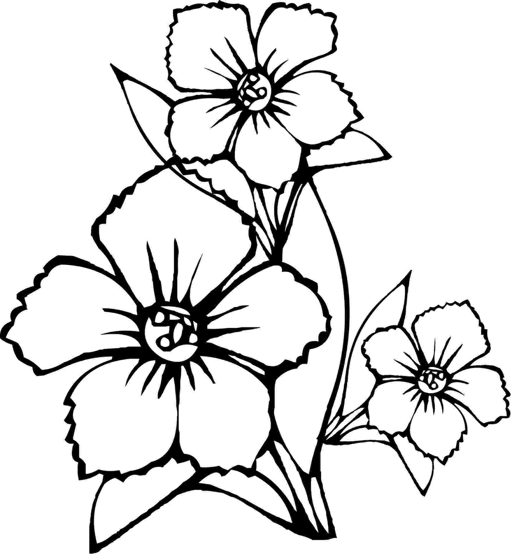 flower coloring pages printables free printable flower coloring pages for kids best pages printables coloring flower 