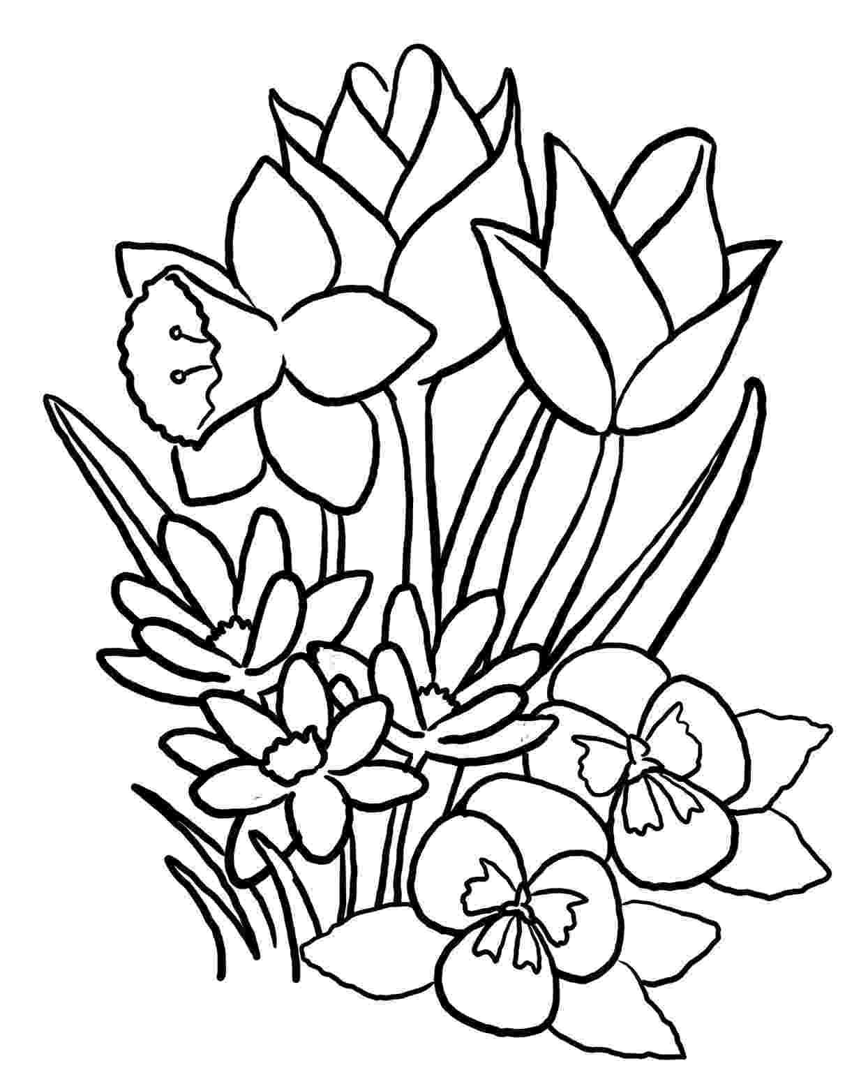 flowers to print and colour free printable flower coloring pages for kids best print and colour flowers to 