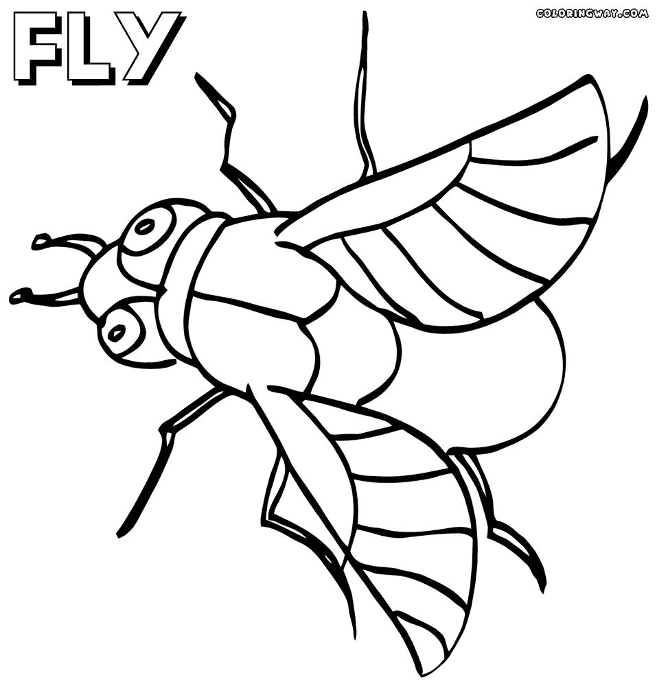 fly printable fly coloring pages coloring pages to download and print printable fly 1 1