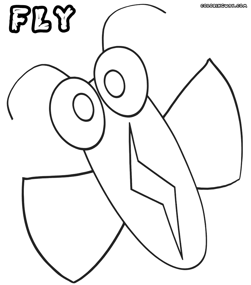 fly printable fly coloring pages coloring pages to download and print printable fly 1 2