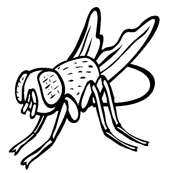 fly printable fly coloring pages getcoloringpagescom fly printable 