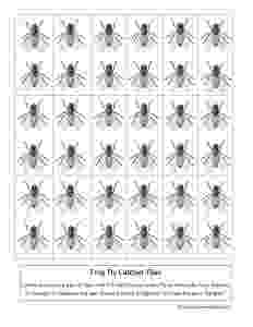 fly printable house fly coloring pages download free house fly printable fly 