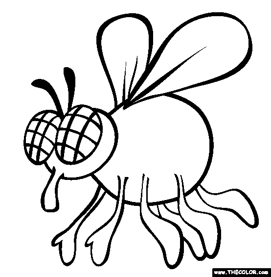 fly printable insect online coloring pages page 1 fly printable 