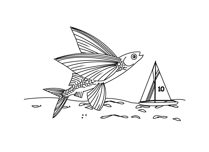 flying fish coloring page flying fish coloring pages download and print flying fish flying fish page coloring 