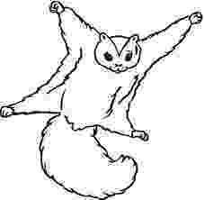flying squirrel coloring page flying squirrel coloring page flying squirrel coloring page flying squirrel coloring 