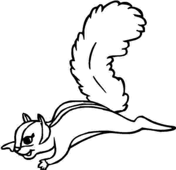 flying squirrel coloring page flying squirrel coloring pages download and print for free coloring page flying squirrel 