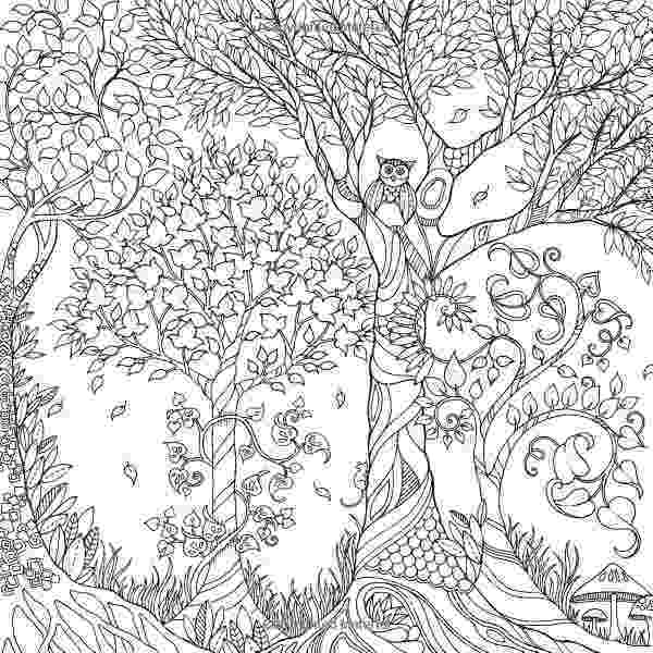 forest pictures to color 12 pics of enchanted forest coloring book pages owl forest pictures color to 