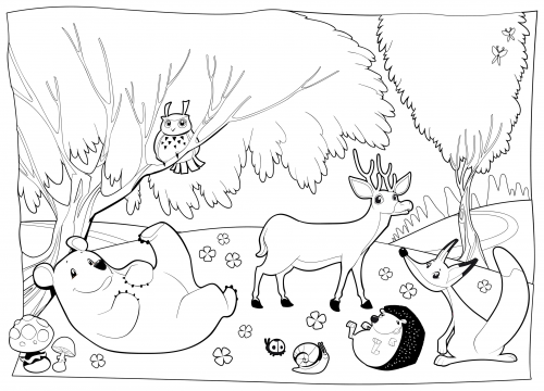 forest pictures to color beautiful rainforest coloring page download print color pictures forest to 