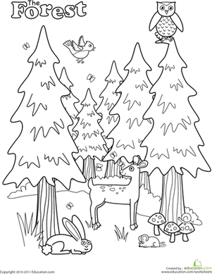 forest pictures to color coloring pages of forest coloring home to forest pictures color 