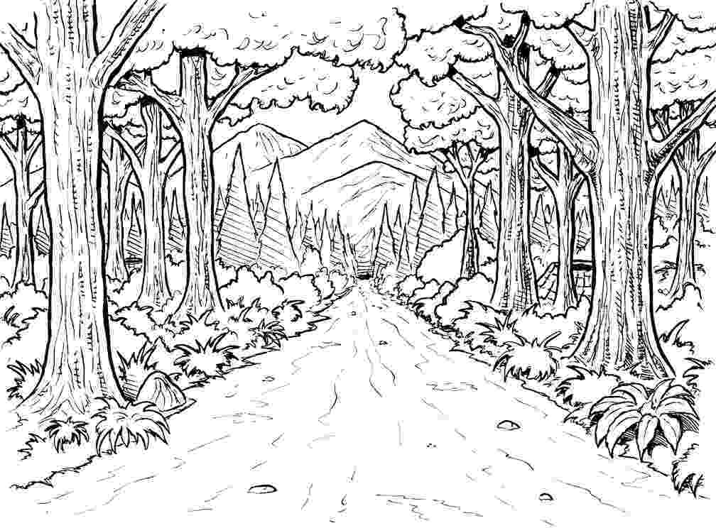 forest pictures to color detailed coloring page forest creatures animal forest pictures color to 