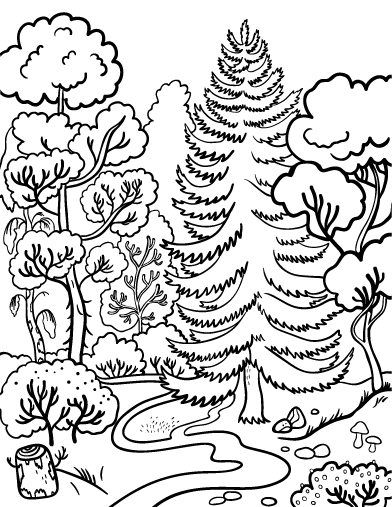 forest pictures to color forest coloring page for children coloring home forest color pictures to 