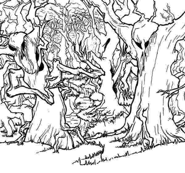 forest pictures to color forest coloring pages to download and print for free color pictures to forest 