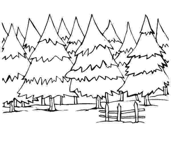 forest pictures to color forest where animals live coloring page coloring sky color forest to pictures 