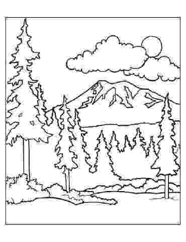 forest pictures to color magic tree house book club afternoon on the amazon color to forest pictures 