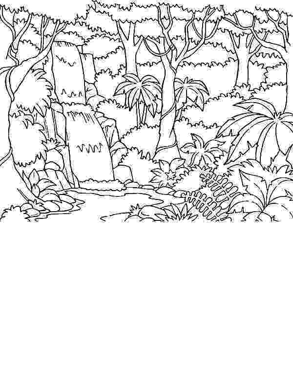 forest pictures to color pine tree forest in canada coloring page coloring sky color to pictures forest 