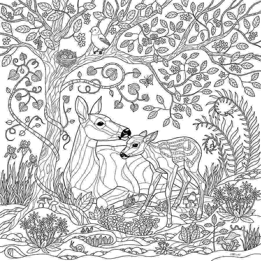 forest pictures to color preschool forest coloring pages pictures to forest color 