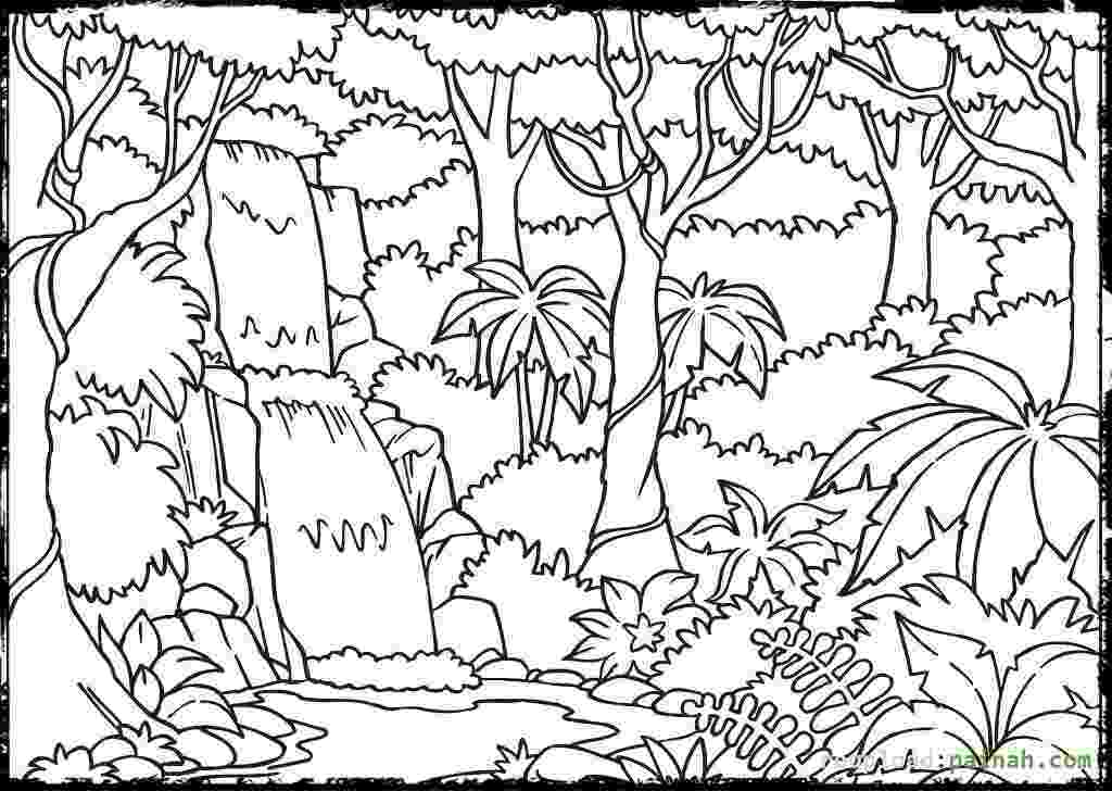 forest pictures to color printable forest coloring sheets pictures to forest color 