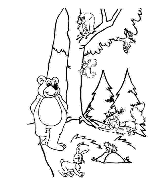 forest pictures to color puppy dog in the forest coloring page free printable pictures color forest to 