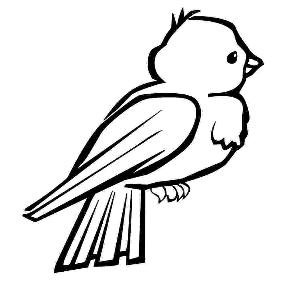 free bird coloring pages bird 6 coloring kids bird pages free coloring 