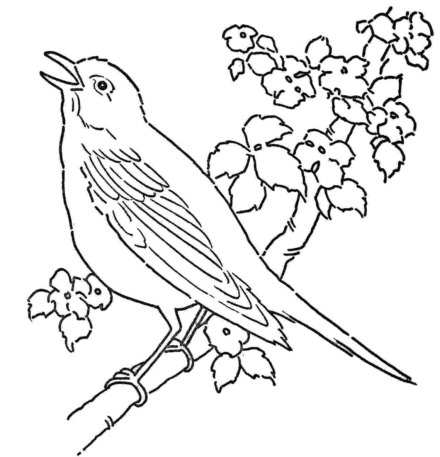 free bird coloring pages bird coloring pages to download and print for free bird coloring pages free 