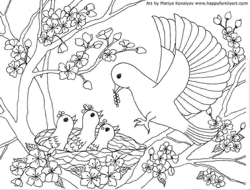 free bird coloring pages birds coloring page free pages coloring bird 