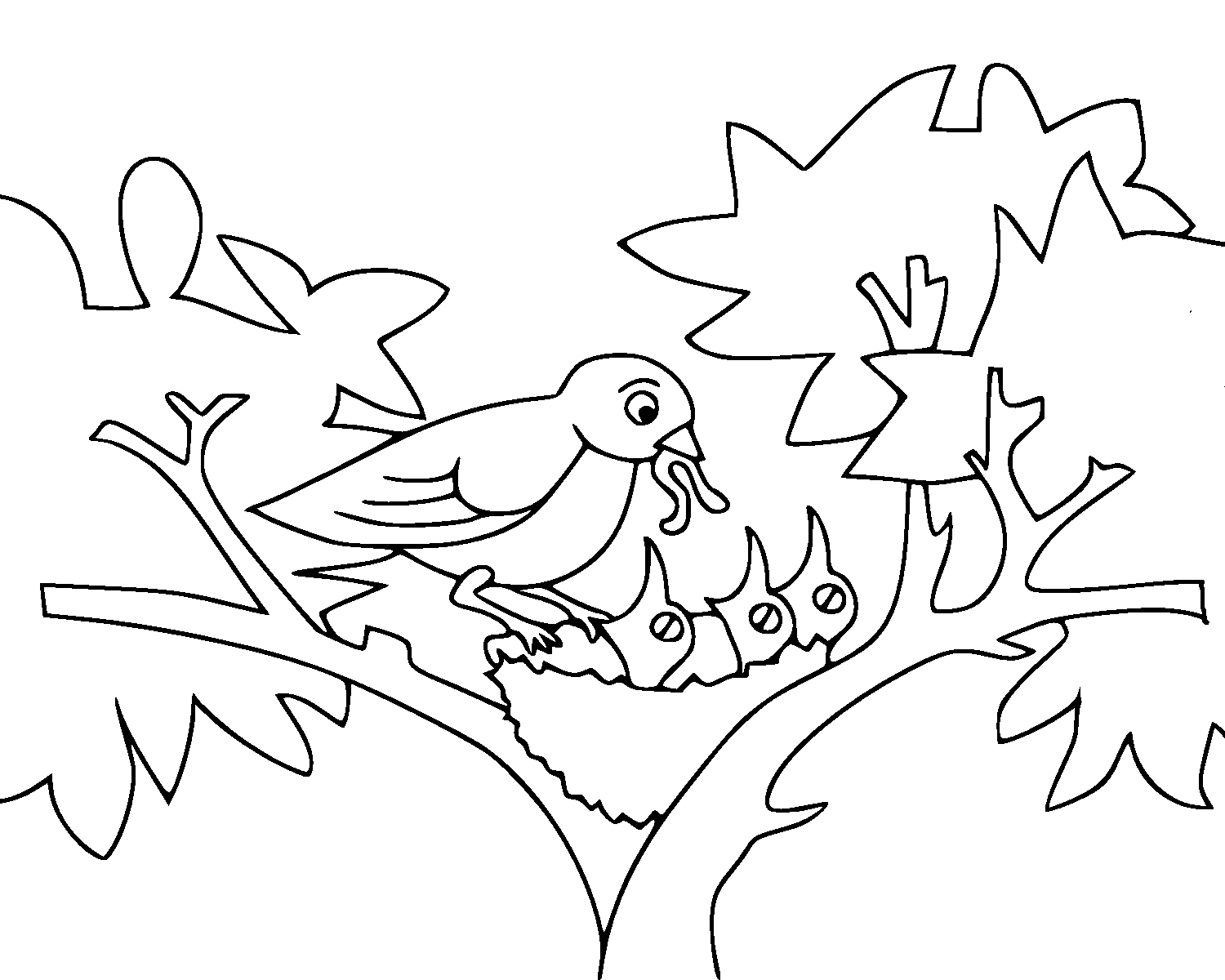 free bird coloring pages coloring pages for kids coloring pages blog free pages bird coloring 