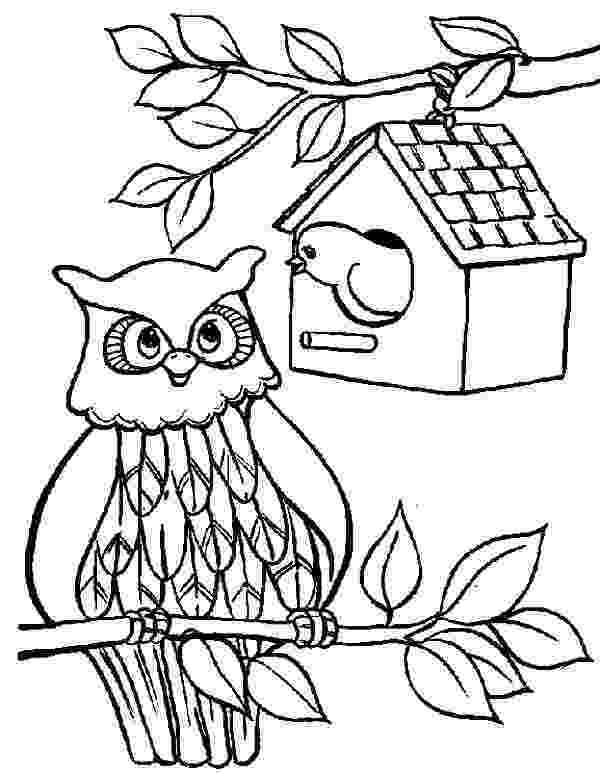 free bird coloring pages free printable bird house coloring pages food ideas coloring pages bird free 
