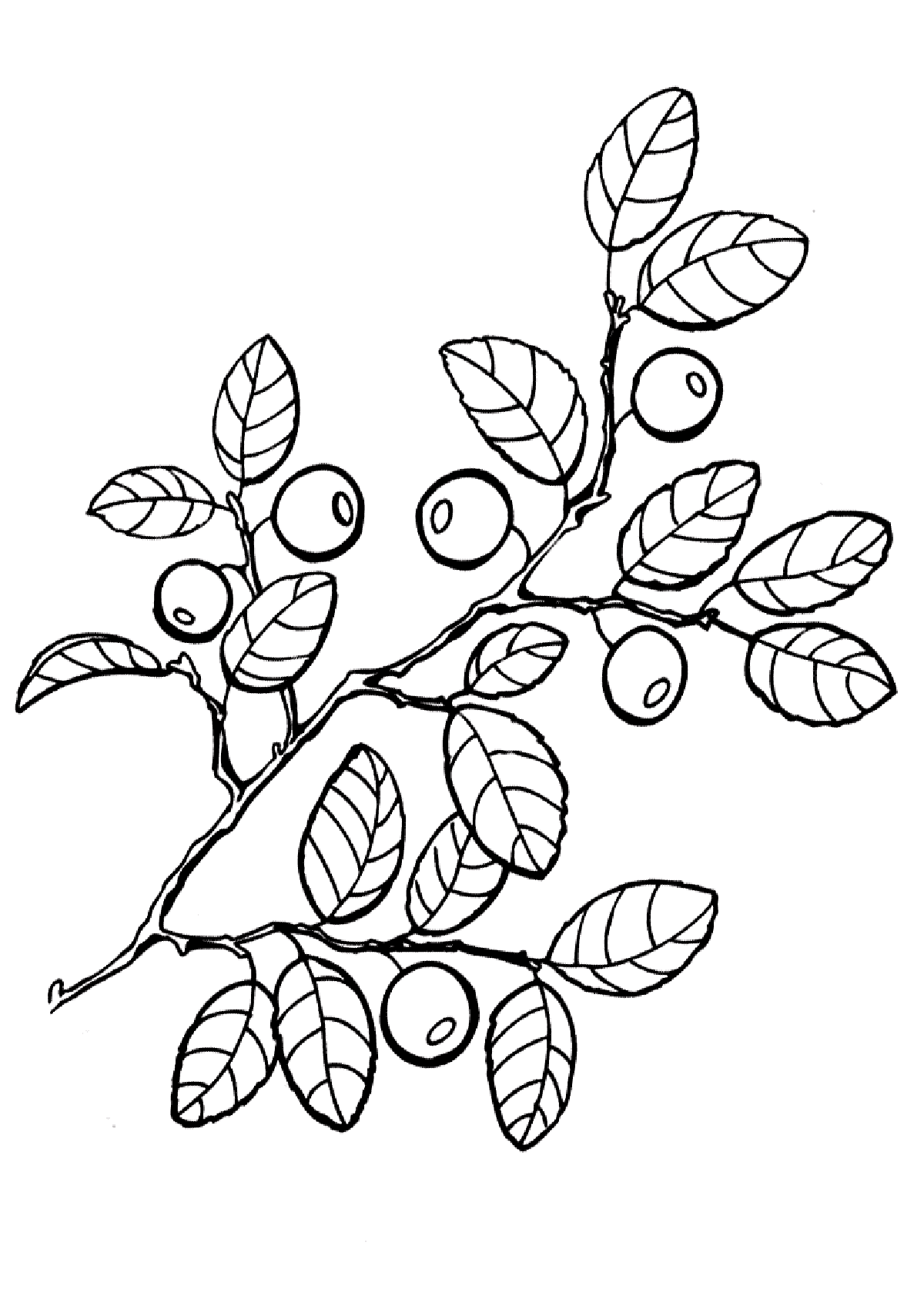 free coloring pages download coloring pages free coloring pages to download print pages download coloring free 