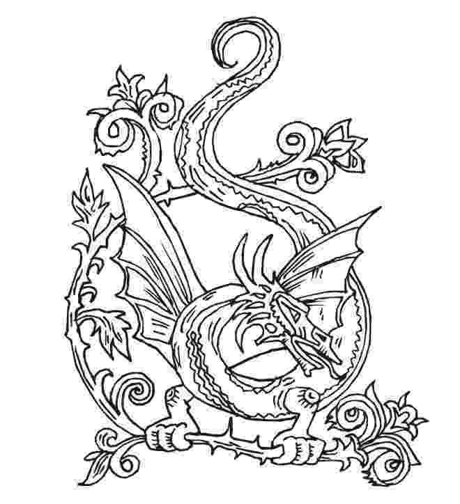 free coloring pages dragons medieval dragons dragons coloring pages and sheets can dragons coloring pages free 
