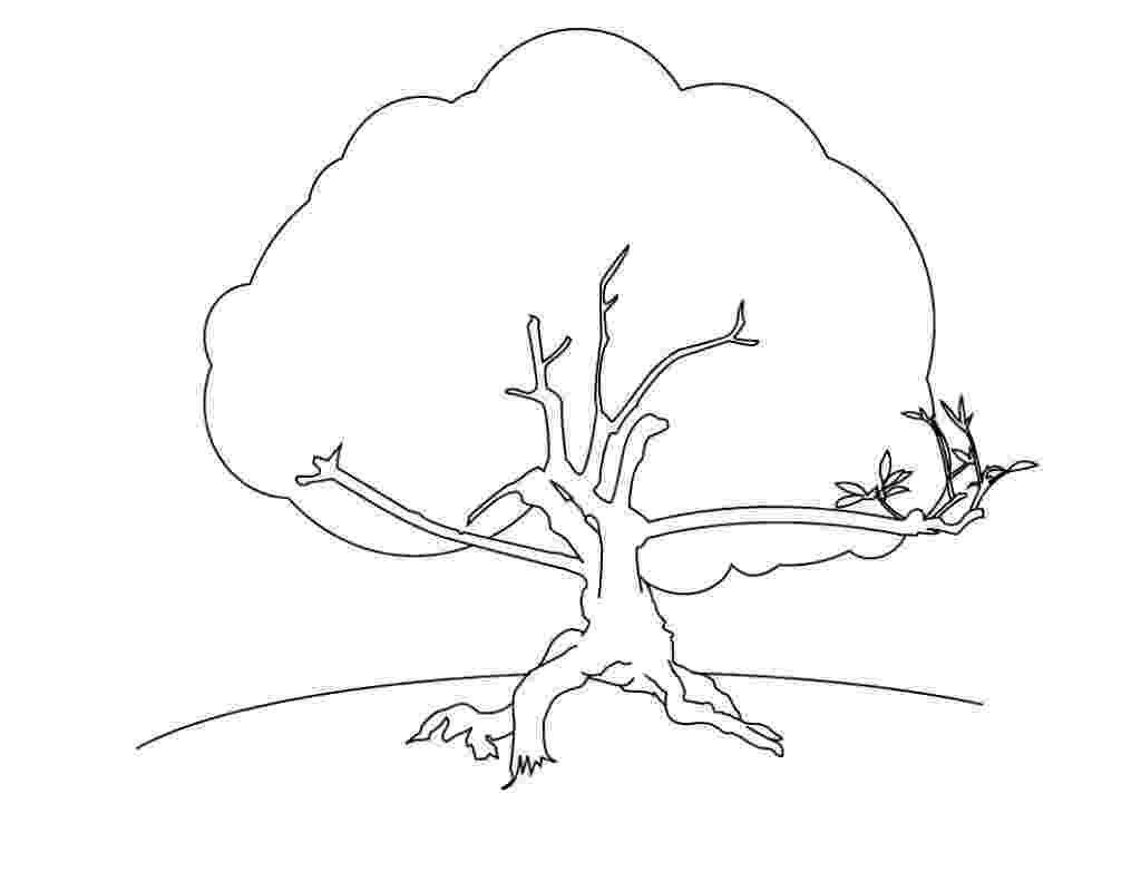 free coloring pages le tree free printable tree coloring pages for kids coloring tree le pages free 