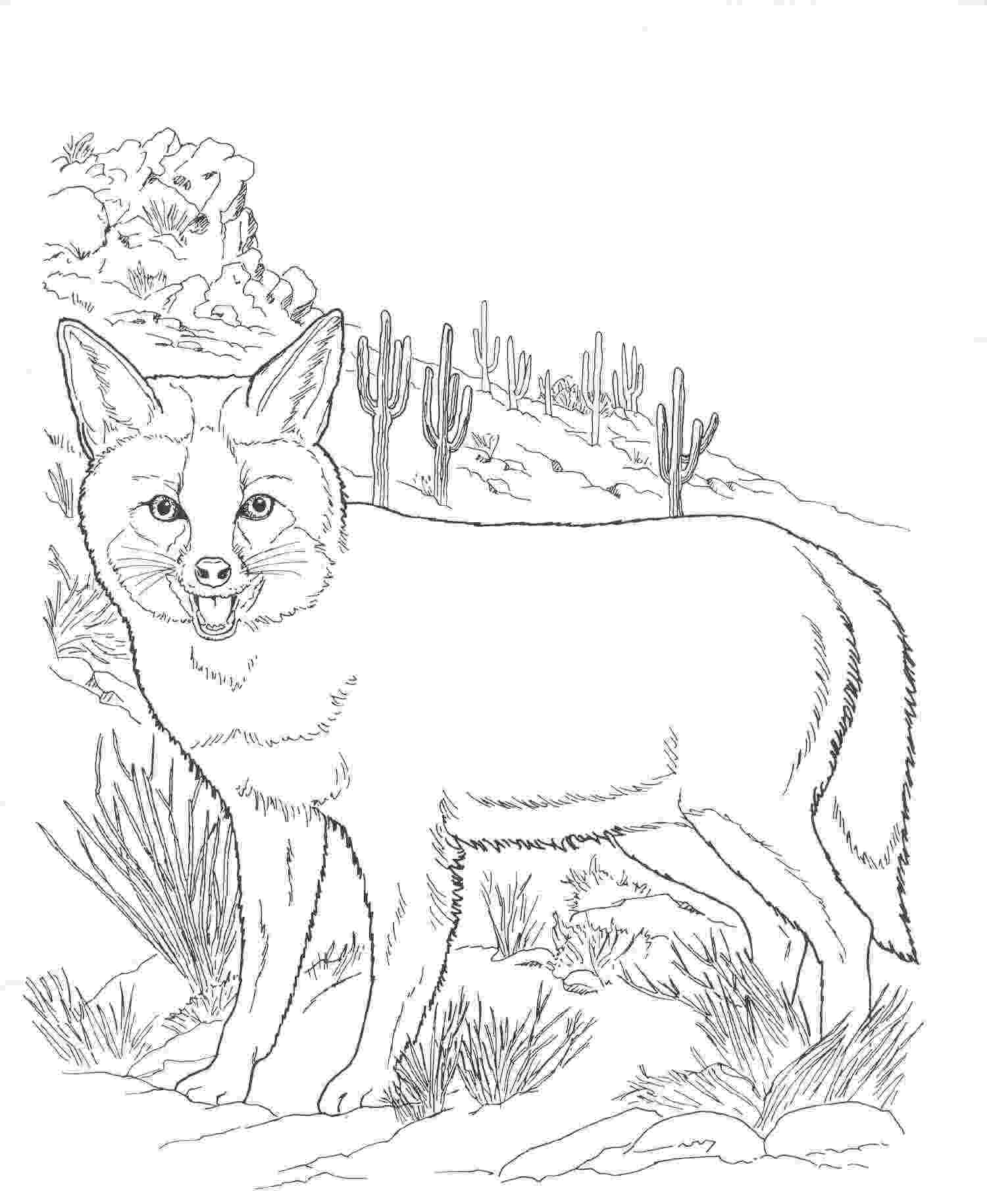 free colouring pages wild animals african animals coloring pages getcoloringpagescom pages animals wild free colouring 