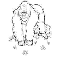 free colouring pages wild animals free coloring pages printable pictures to color kids pages animals colouring wild free 