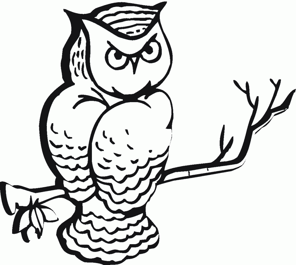 free owl printables free printable owl coloring pages for kids cool2bkids free owl printables 