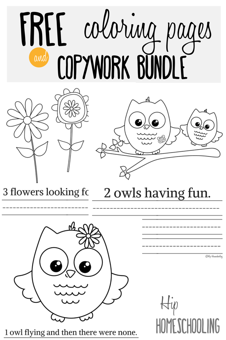 free owl printables owl coloring page embroidery owls pinterest owl owl printables free 