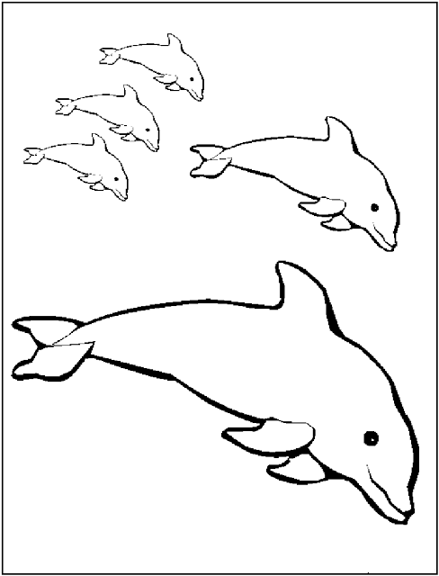free printable dolphin coloring pages free printable dolphin coloring pages for kids printable pages dolphin coloring free 