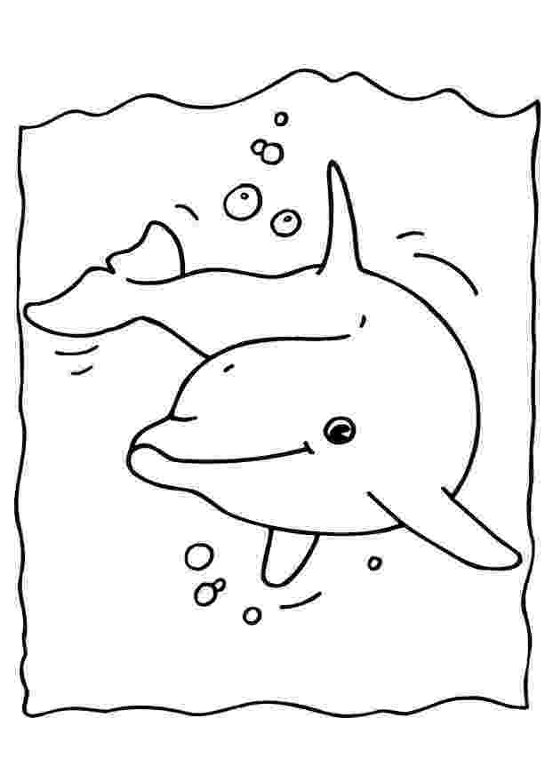 free printable dolphin coloring pages free printable dolphin coloring pages for kids printable pages free dolphin coloring 