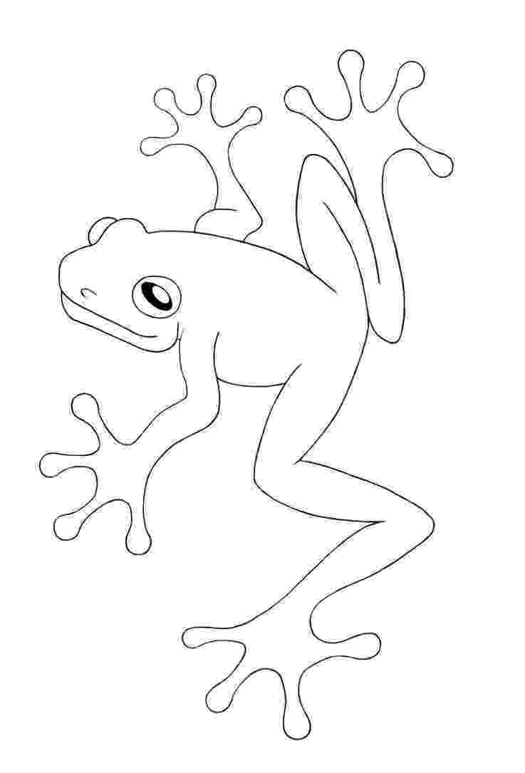 frog images to color free printable frog coloring pages for kids to color images frog 